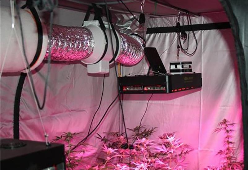 Improvizirani laboratorij - Krao struju za kućni uzgoj marihuane